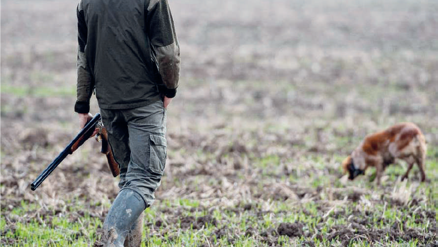 Eaux et forêts: c’est parti pour la saison de la chasse !